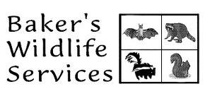 Avatar for Baker's Wildlife Services