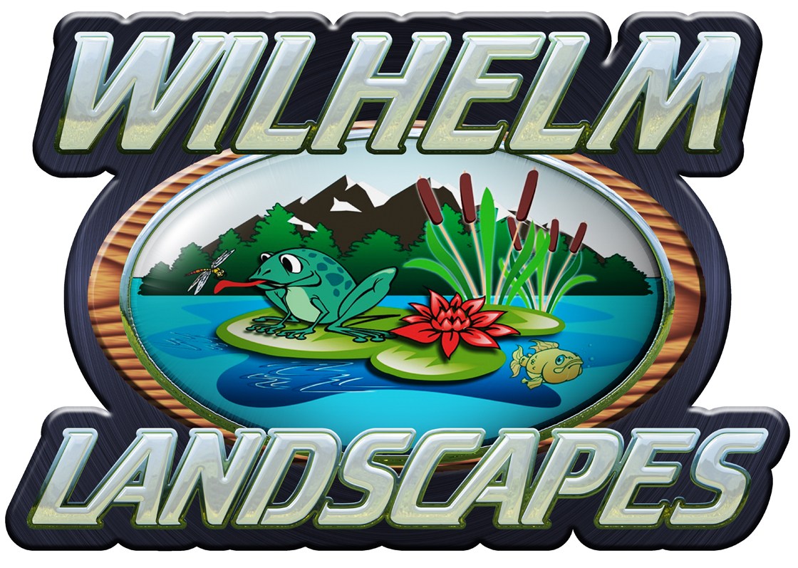 Avatar for Wilhelm Landscapes