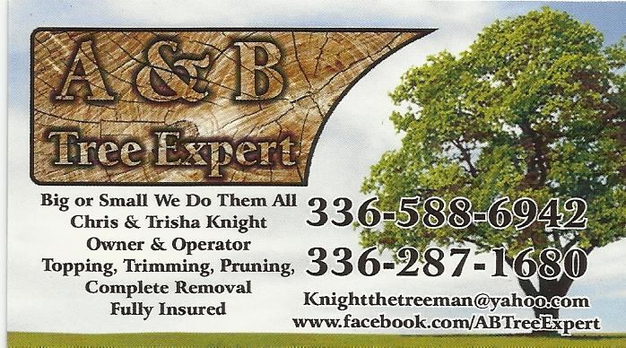 A & B Tree Expert logo