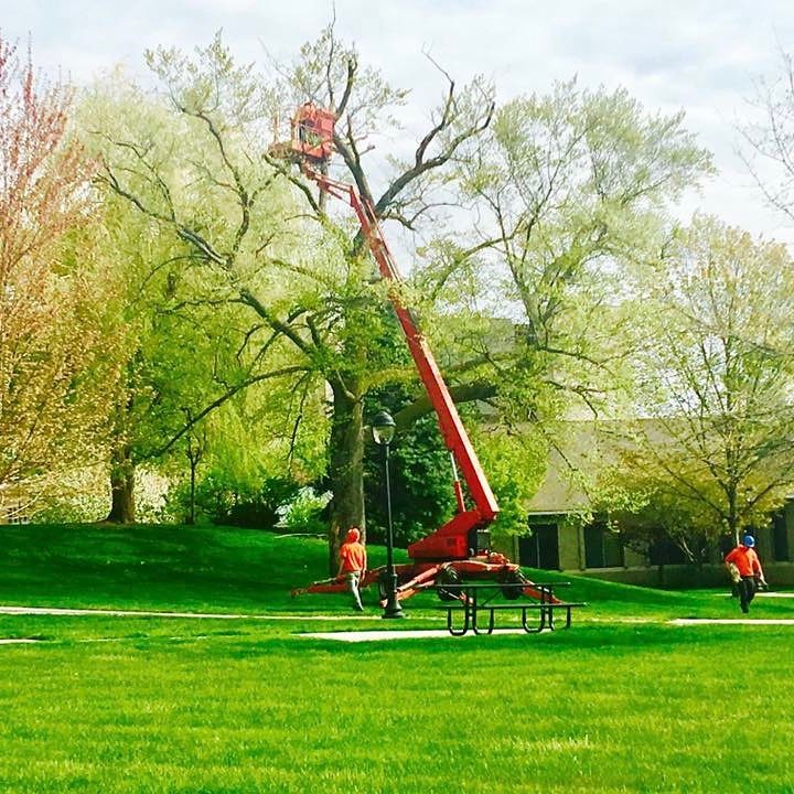 Avatar for Parshall Tree Care Experts