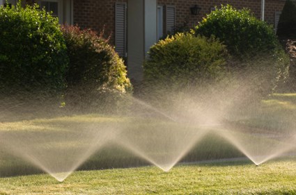 Avatar for Specialty Irrigation