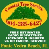 Avatar for Coastal Tree Service