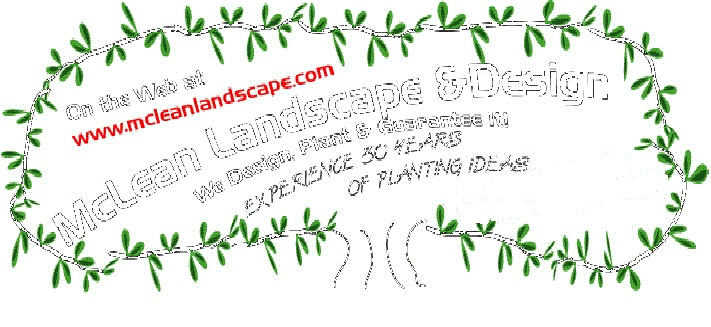 Avatar for McLean Landscape & Design, LLC