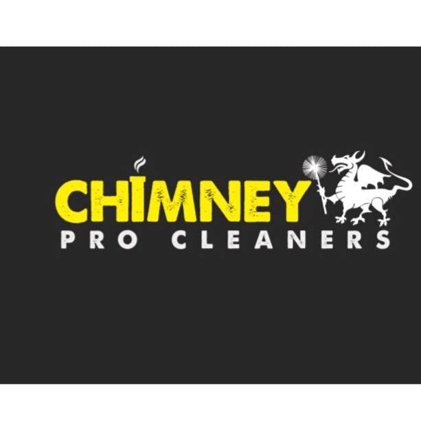 Chimney Pro Cleaners, LLC logo