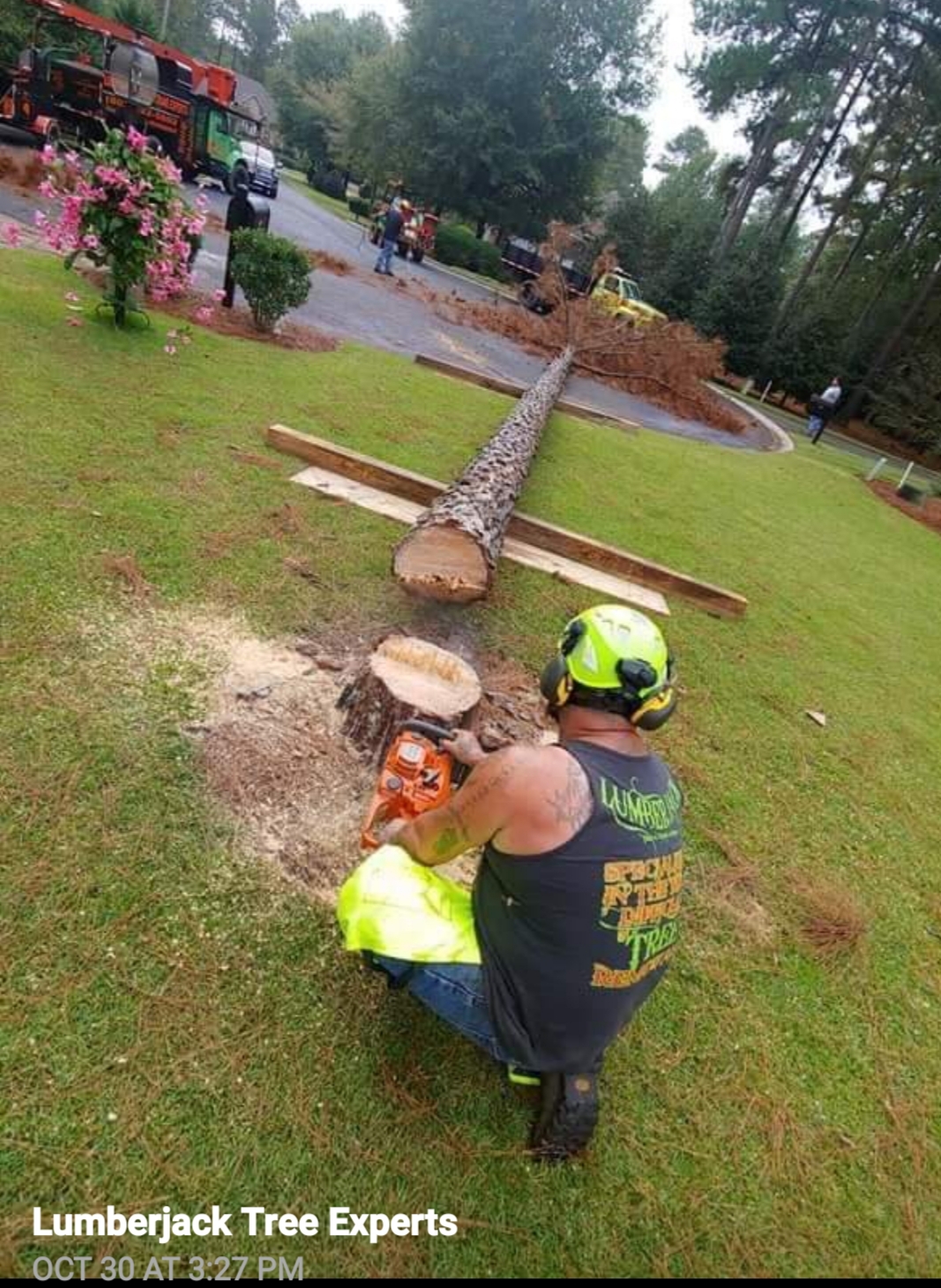 Avatar for LUMBERJACK TREE EXPERTS