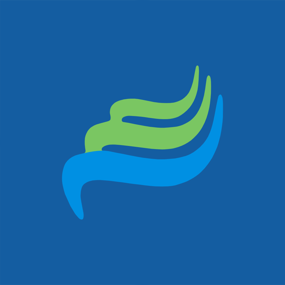 Logo for Ensign Building Solutions