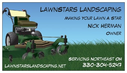 Logo for Lawnstars Landscaping LLC