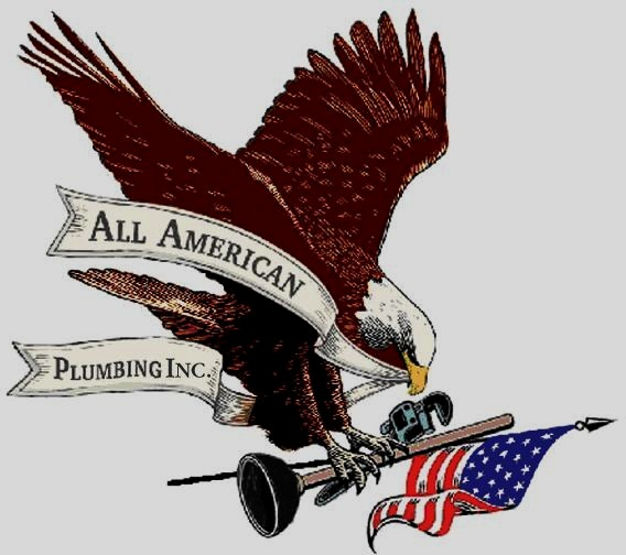 Avatar for All American Plumbing, Inc.