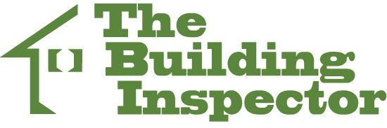 Avatar for The Building Inspector