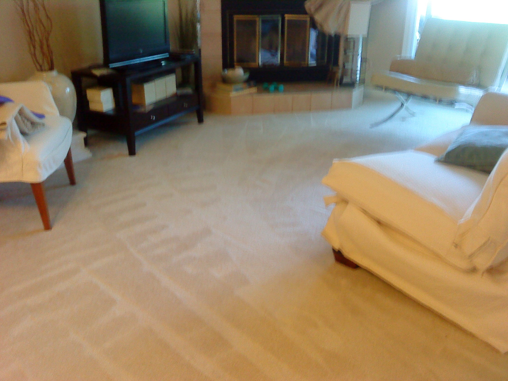 Avatar for Mark Panozzo Carpet & Upholstery Care