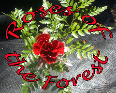 Avatar for Roses of the Forest