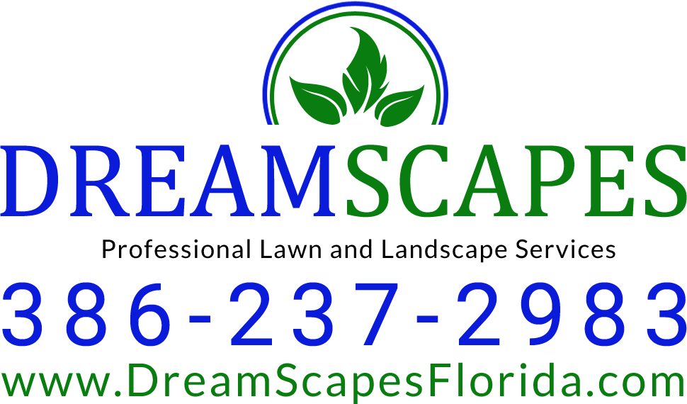 Avatar for DreamScapes