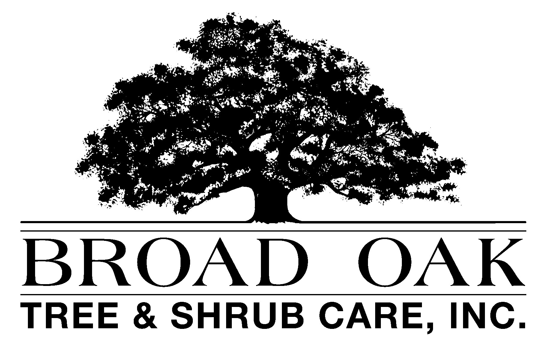 Broad Oak Tree & Shrub Care Inc logo
