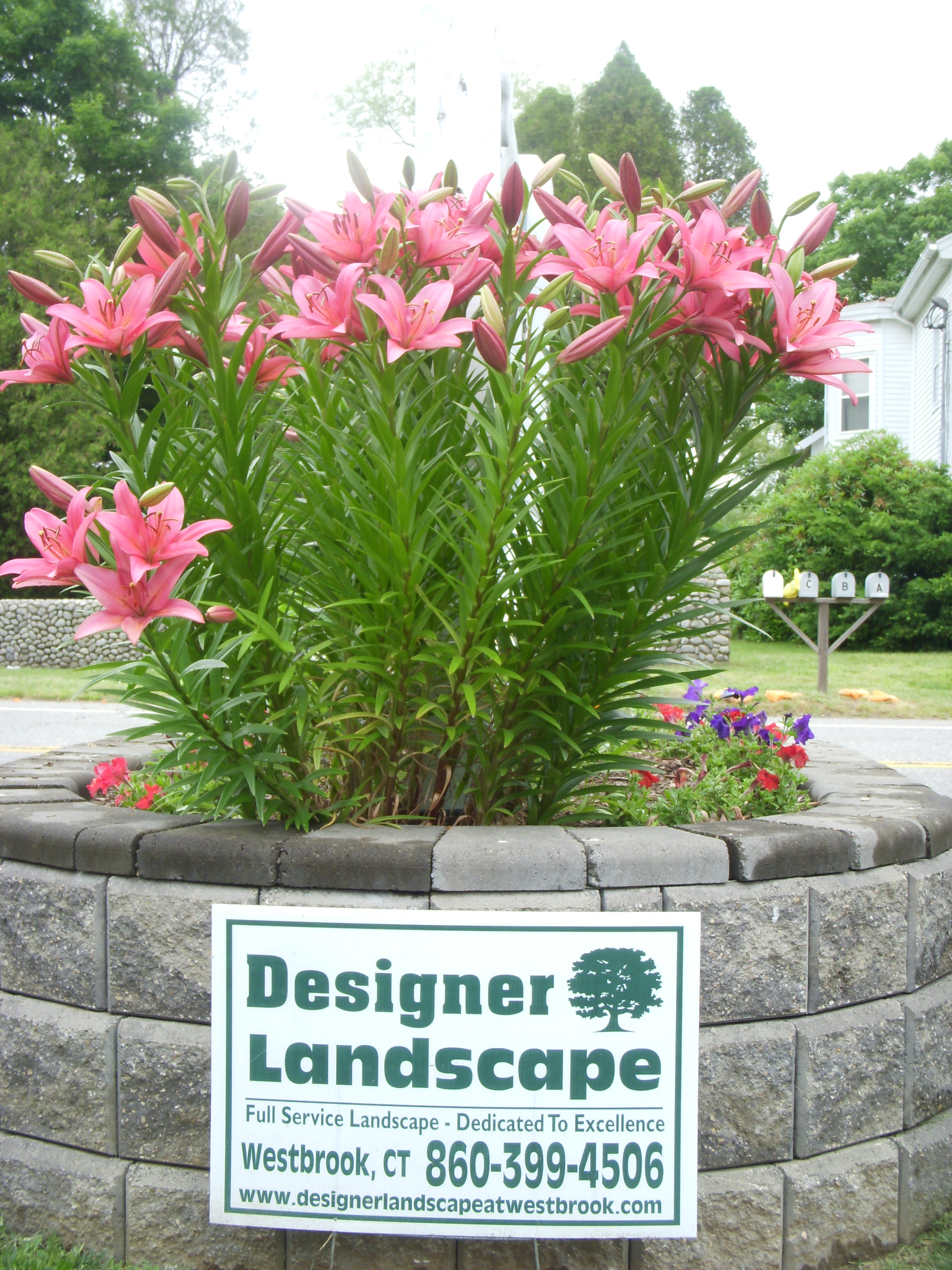 Avatar for Designer Landscape