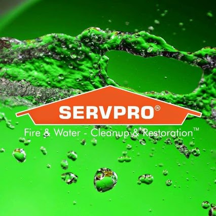 Avatar for SERVPRO-SOUTH BURLINGTON CNTY