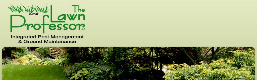 Avatar for BRYON FRYER LAWNCARE LLC