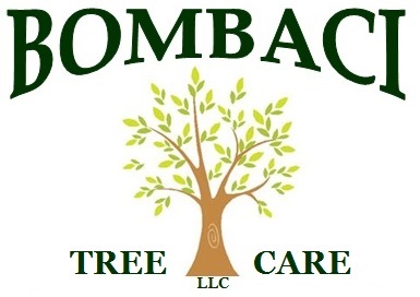 Avatar for Bombaci Property Services LLC