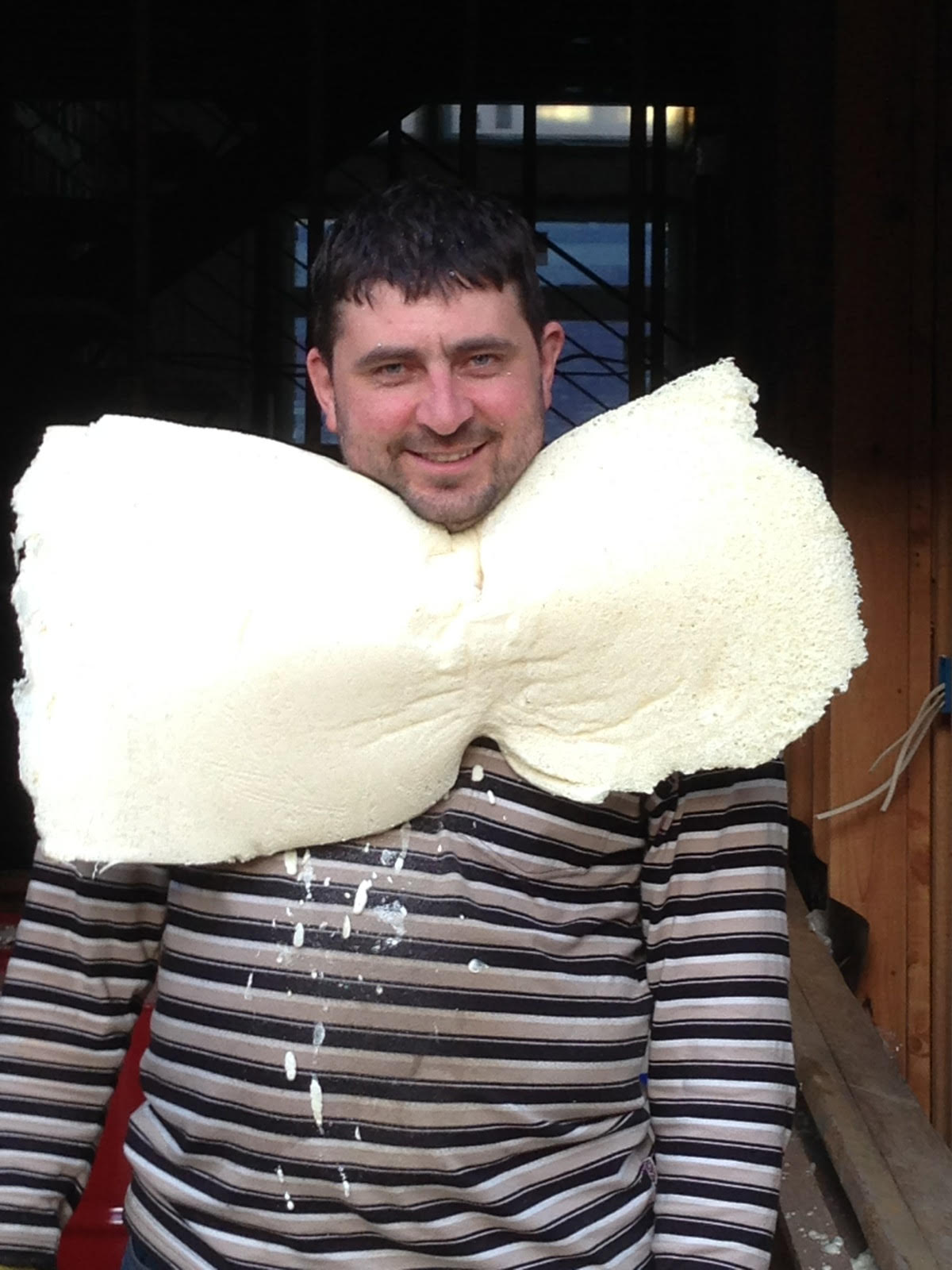 Avatar for Absolute Spray Foam Insulation