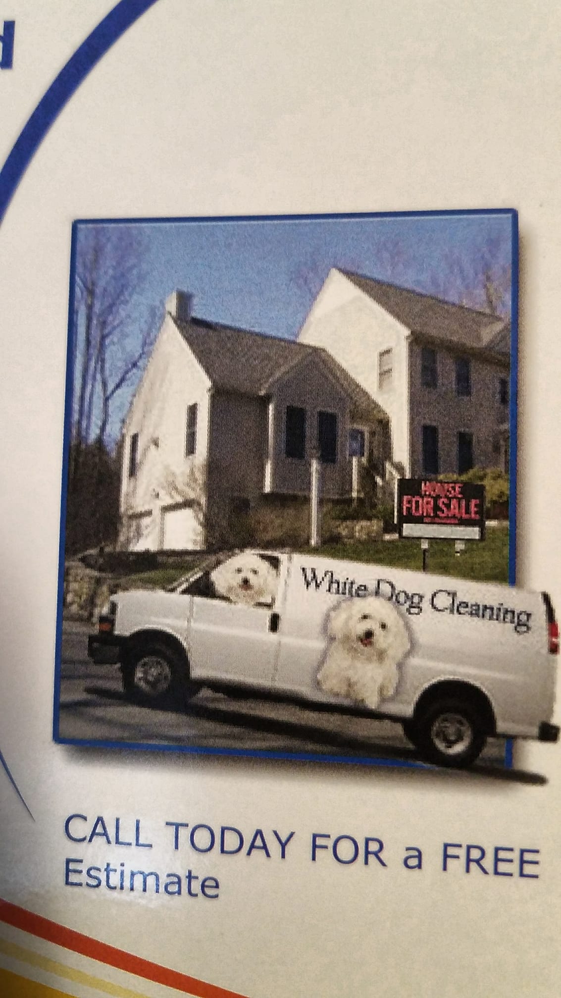 Avatar for White Dog Cleaning