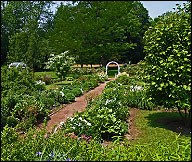 Avatar for Nantucket Trees Landscaping