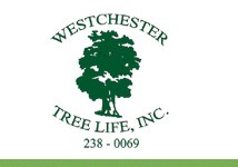 Logo for WESTCHESTER TREE LIFE INC
