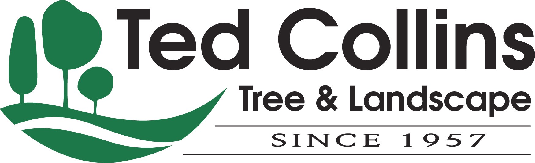 Avatar for Ted Collins Tree & Landscape