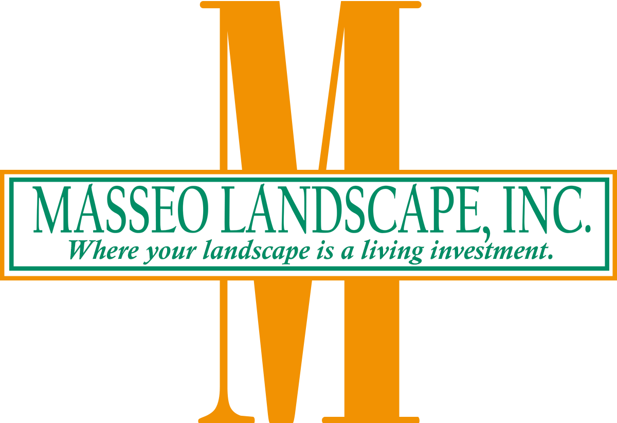 Avatar for Masseo Landscape, Inc.