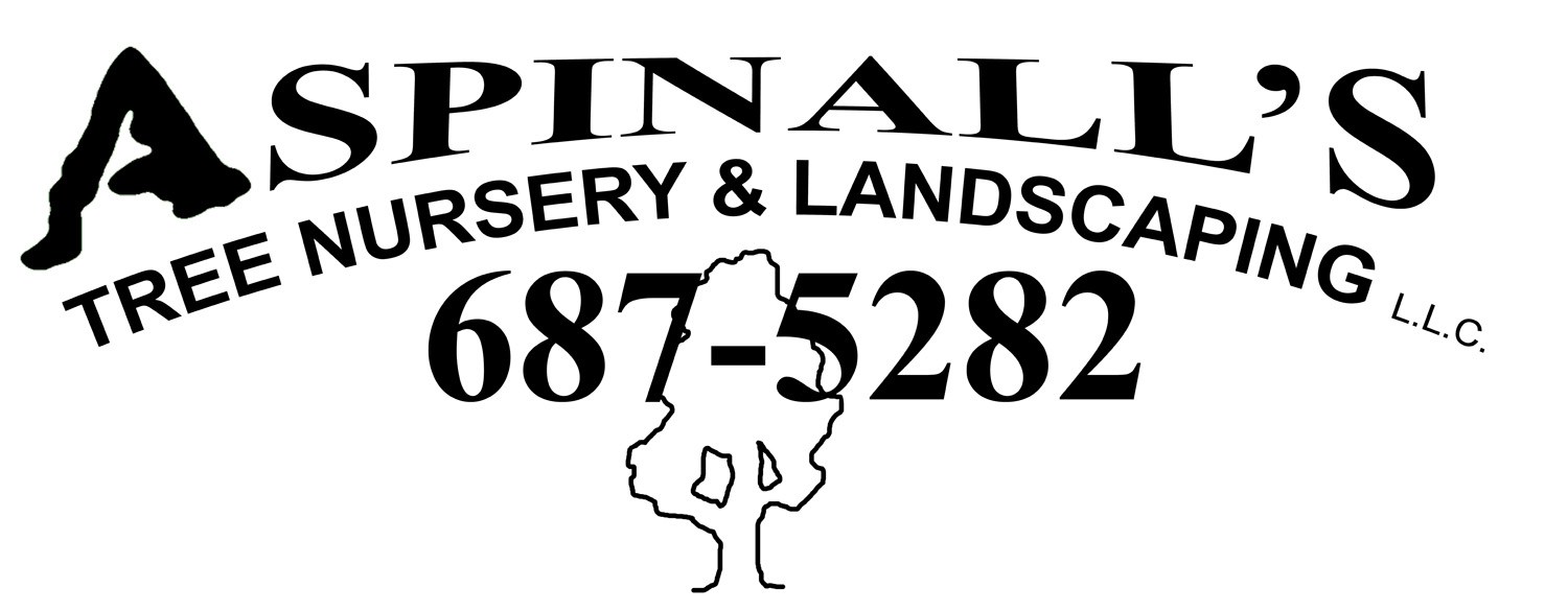 Avatar for ASPINALL'S TREE NURSERY & LANDSCAPING L.L.C.