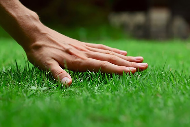 Avatar for Creative Design Landscaping - West Milford, LLC