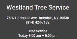 Avatar for Westland Tree Service Corp