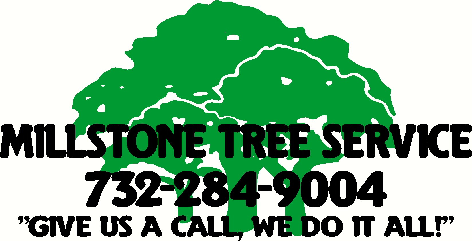 Avatar for Millstone Tree Service