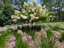 Avatar for Curb Appeal Landscape Solutions