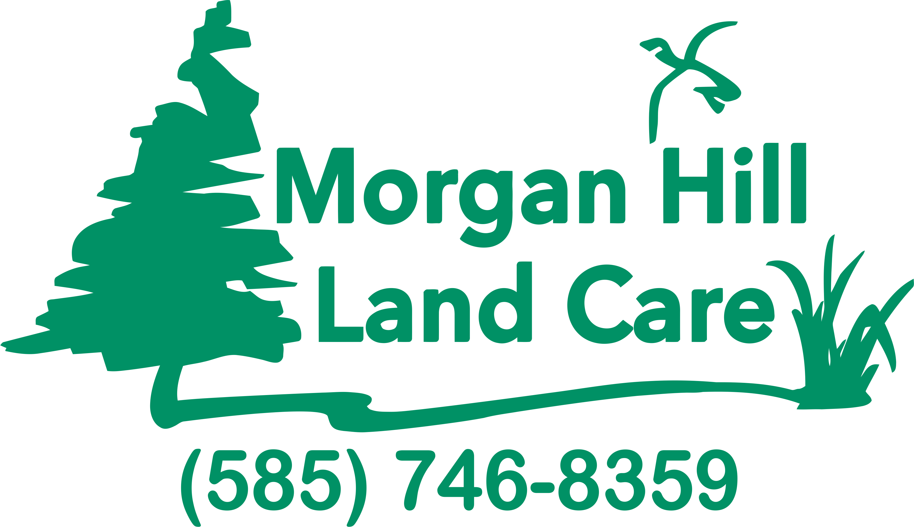 Avatar for Morgan Hill Land Care LLC