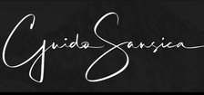 Avatar for Guido Sansica commercial artist