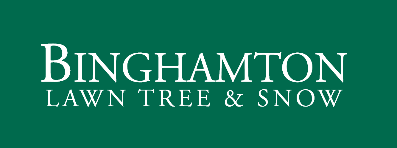 Avatar for Binghamton Lawn Tree & Snow