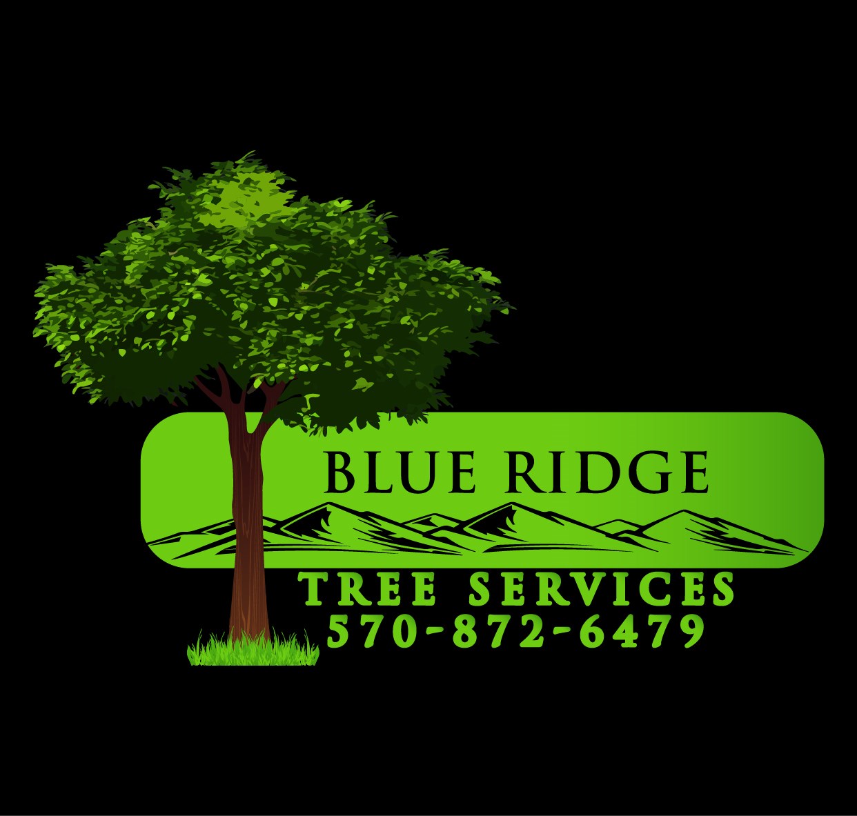 Avatar for Blue Ridge Tree Services