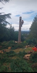 KITSAP LANDSCAPING SERVICES logo