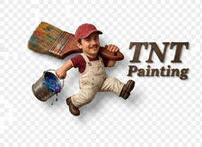Avatar for TNT Painting