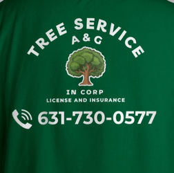 A & G TREE SERVICE INCORPORATED logo
