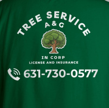 Avatar for A & G TREE SERVICE INCORPORATED