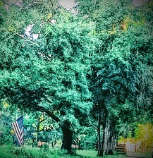 Avatar for Southern Acreage, LLC