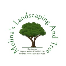 Avatar for Molina Landscape And Tree Service