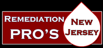 Remediation Pros, LLC logo