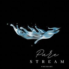 Avatar for Pure Stream Pressure Washing