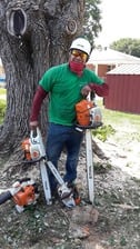 Avatar for Cesar Martinez Tree Service