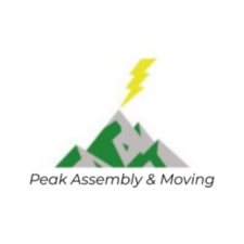 Avatar for Electric Peak Assembly