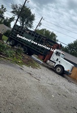 Avatar for Sandoval tree services LLC