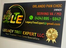 Avatar for Legacy Tree Expert LLC