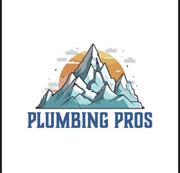 Plumbing pros Limited Liability Com logo