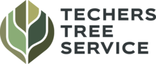 Avatar for Techers Tree Service LLC